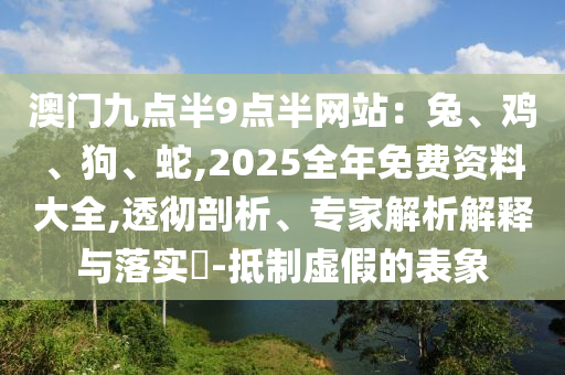 澳門九點(diǎn)半9點(diǎn)半網(wǎng)站：兔、雞、狗、蛇,2025全年免費(fèi)資料大全,透徹剖析、專家解析解釋與落實(shí)?-抵制虛假的表象